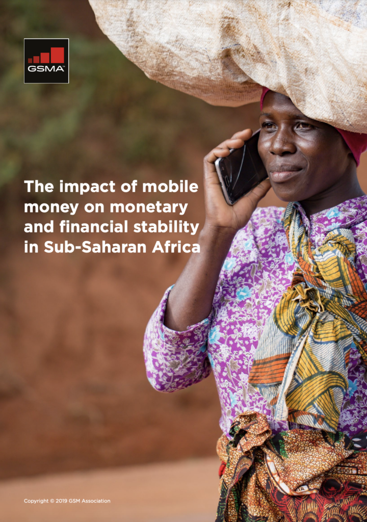 The impact of mobile money on monetary stability in Sub-Saharan Africa